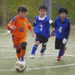 img_2201.jpg